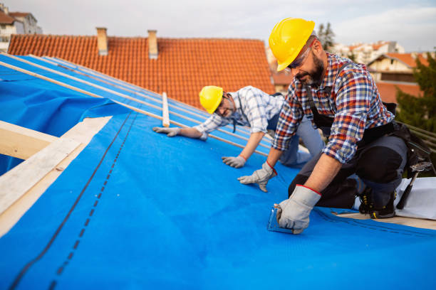 Best Roofing for New Construction  in Faison, NC